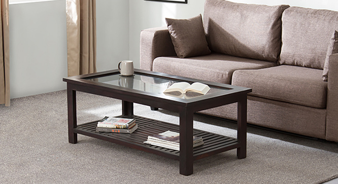 Transparent Coffee Table(Mahogany)